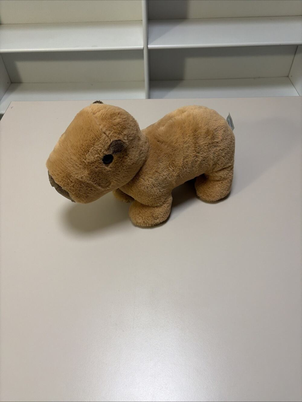 Build A Bear Capybara Plush Limited Edition Online Only Soft Rare